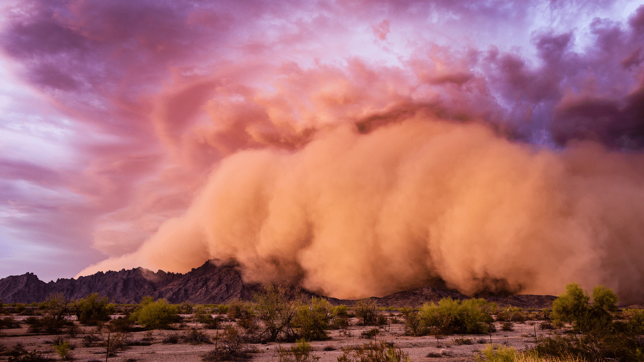 The Impact of Air Pollution on Your Blood Vessels pinnacle vein vascular surgeons az