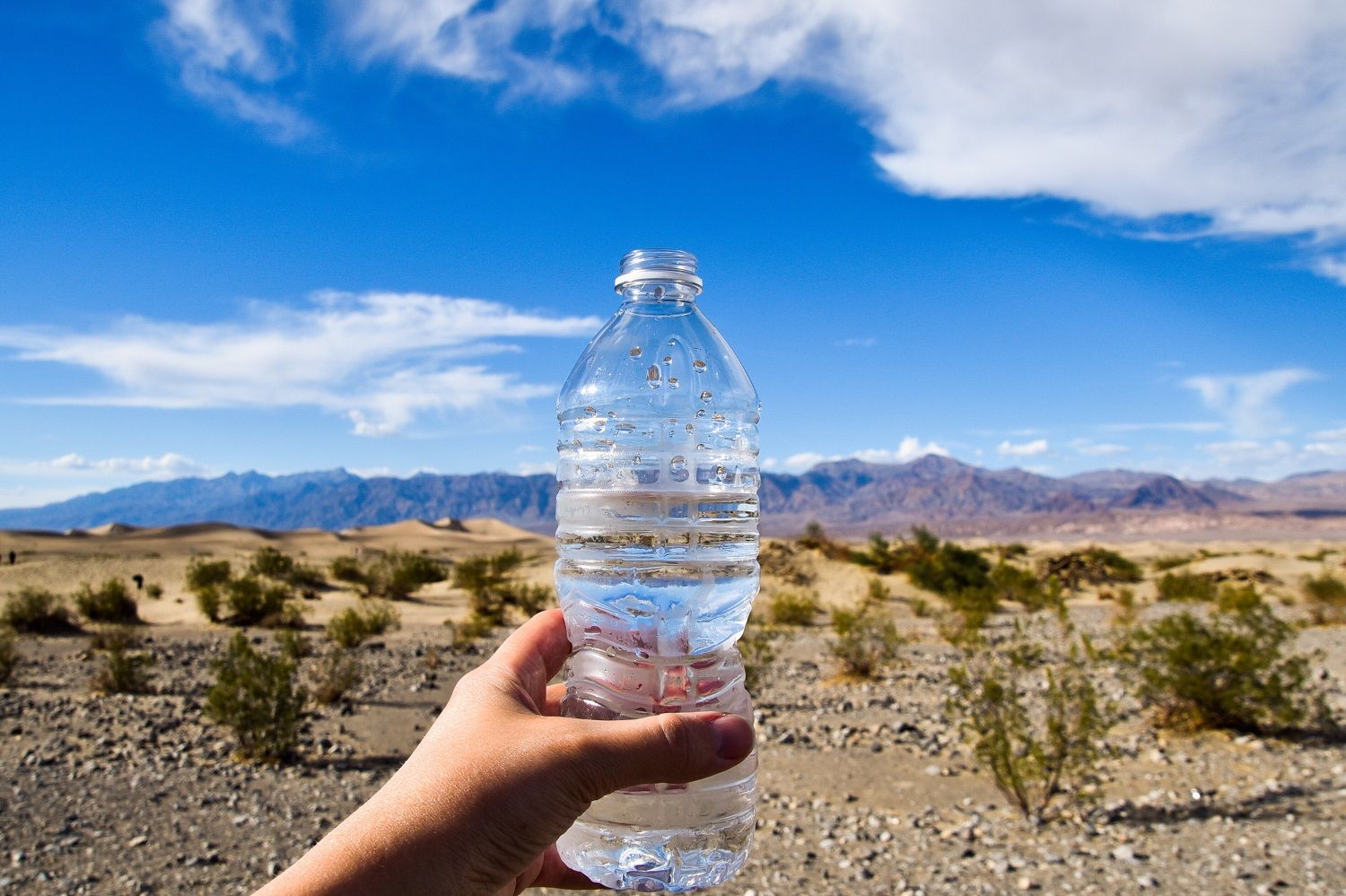 Top Tips on How to Add More Water to Your Day