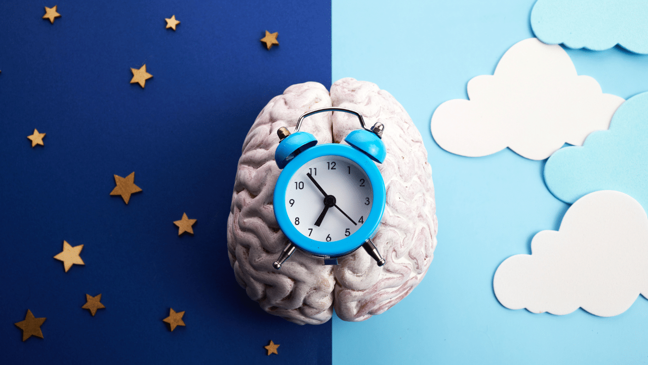 circadian rhythm pinnacle vein care avondale