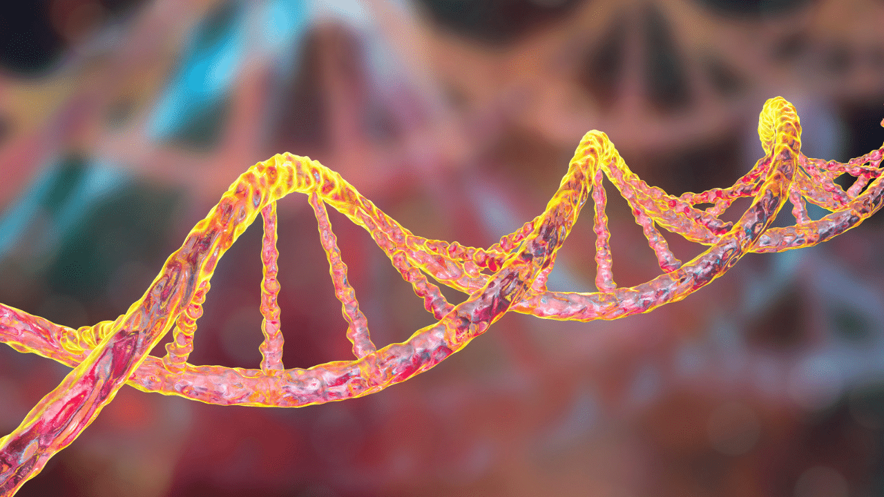 genetics and vascular health pinnacle vein avondale Sun city gilbert